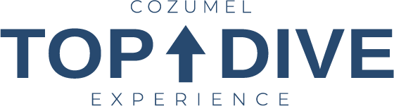 Cozumel Top Dive Experience