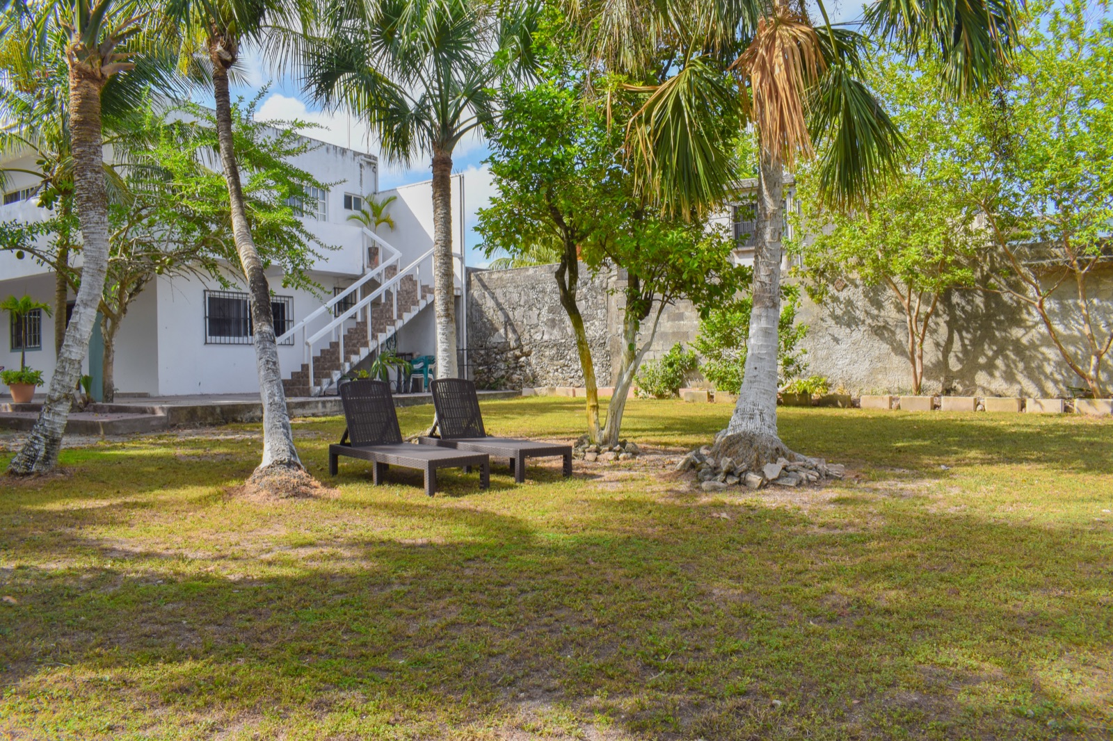 Perfect Place garden courtyard with loungers under palms