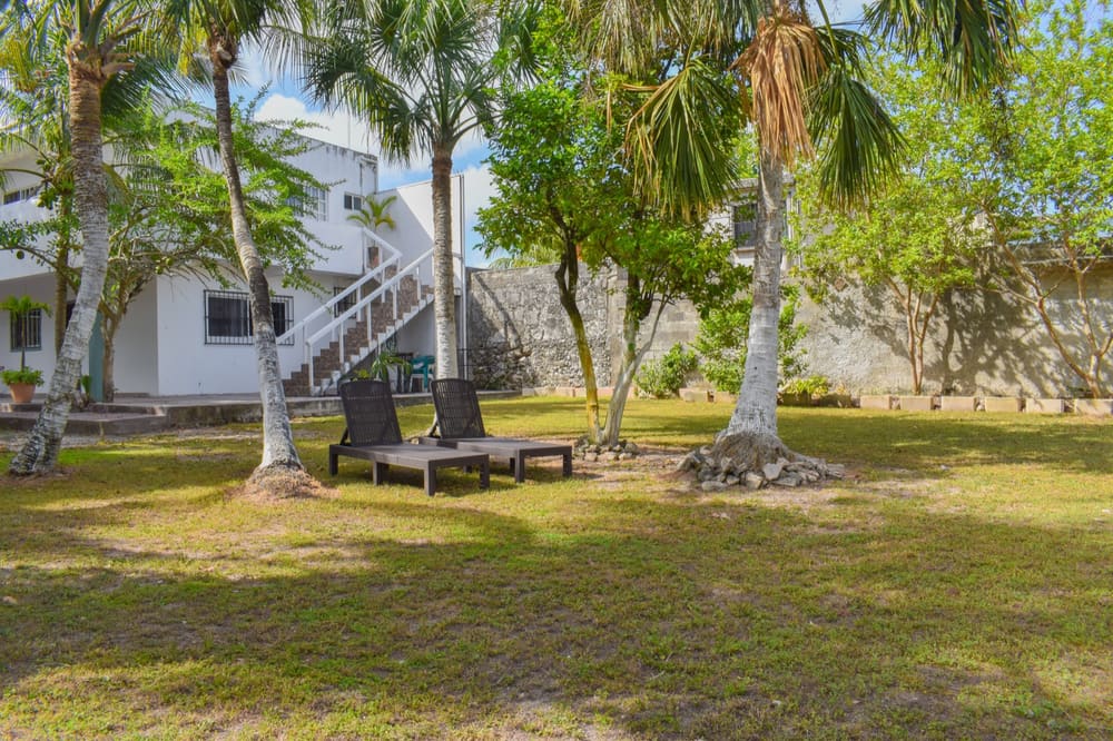 Perfect Place garden courtyard with loungers under palms, apartments behind